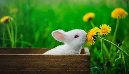 九游娱乐平台-【视频播客】Vol.06 阿什拉夫涉嫌强奸被法国地方法院起诉